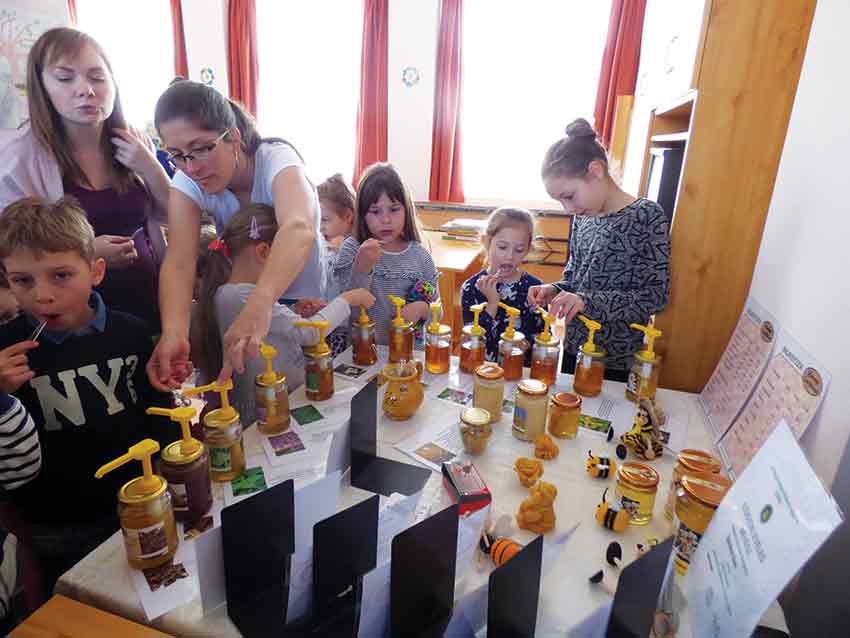Tavaszcsalogató