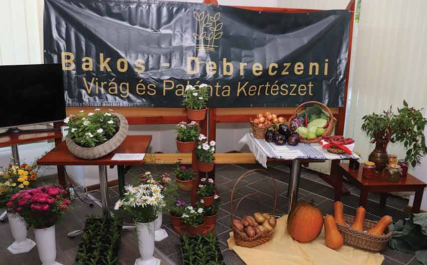 Terménybemutató Abonyban