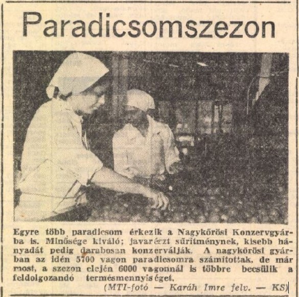 A nagykőrösi vörös arany birodalma: Amikor a konzervgyár jelentette a jövőt