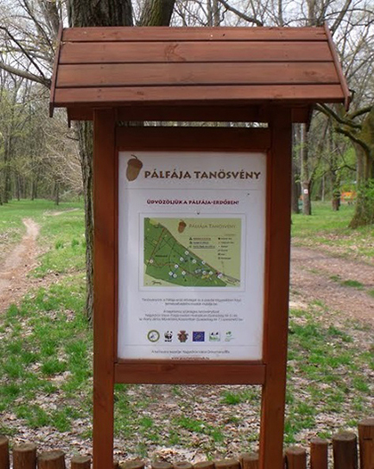 QR-kód a Pálfájában