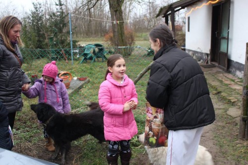 Karácsonyi adományosztás Kocséron