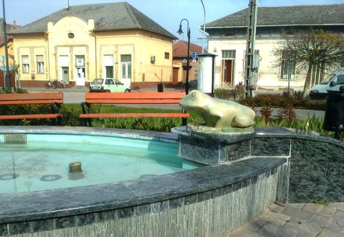 Meggyógyult a kőrösi béka