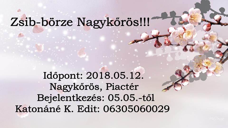2018. 05. 12. Zsib-börze Nagykőrös