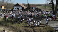 Kutyakaparó Futófesztivál Kocséron!