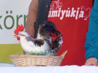 Újabb remek program Csemőben
