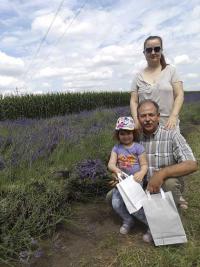 Hatalmas siker volt az első abonyi levendulaszüret