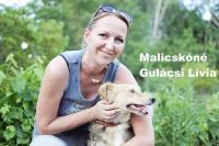 100.000 Ft a nyomravezetőnek – interjú Malicskóné Gulácsi Líviával