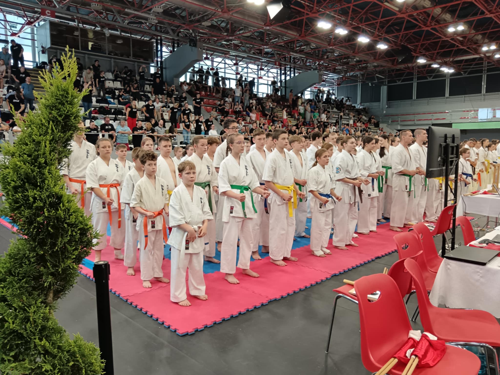 HETI SPORT - Debrecen Kupán remekeltek a nagykőrösi karatékák