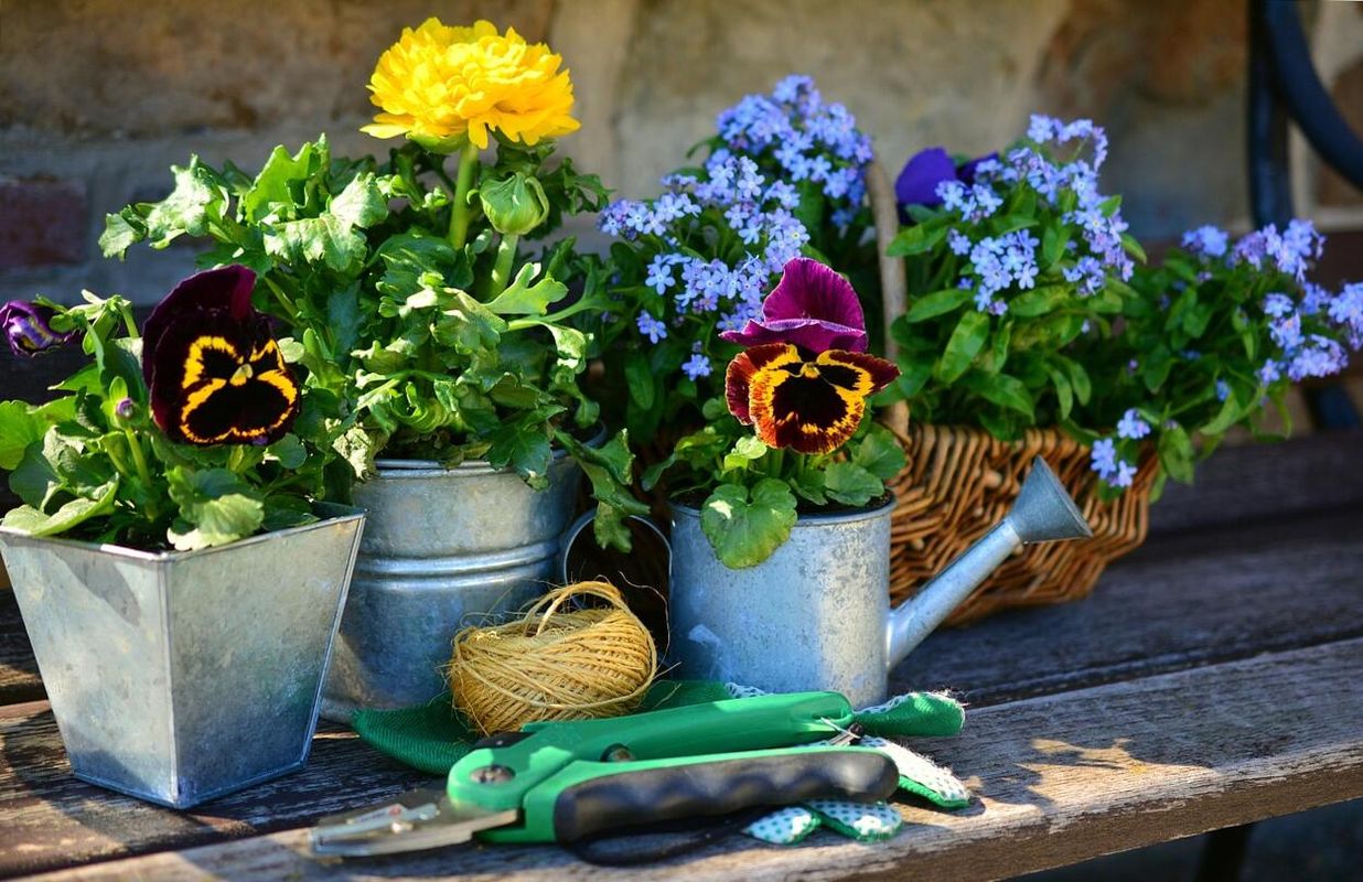 Hogyan neveld növényeidet télen: a konténeres kertészkedés előnyei