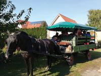 „Csepű, lapu, gongyola”