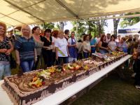 Többezres tömeg ünnepelt Csemőben