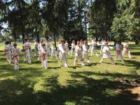 Újabb sportsikerek a Harcosok házatáján
