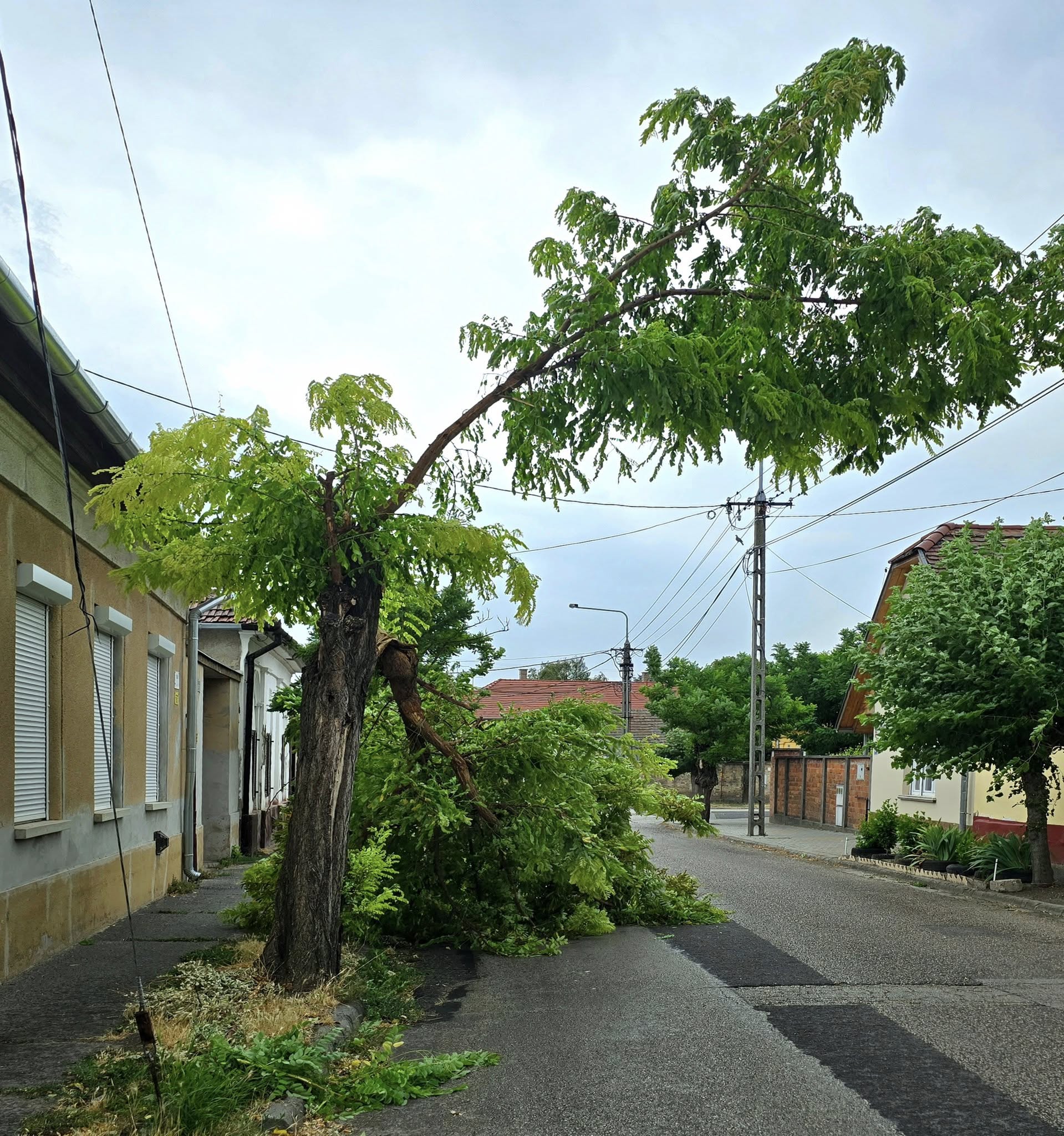 Pusztító vihar utáni összefogás